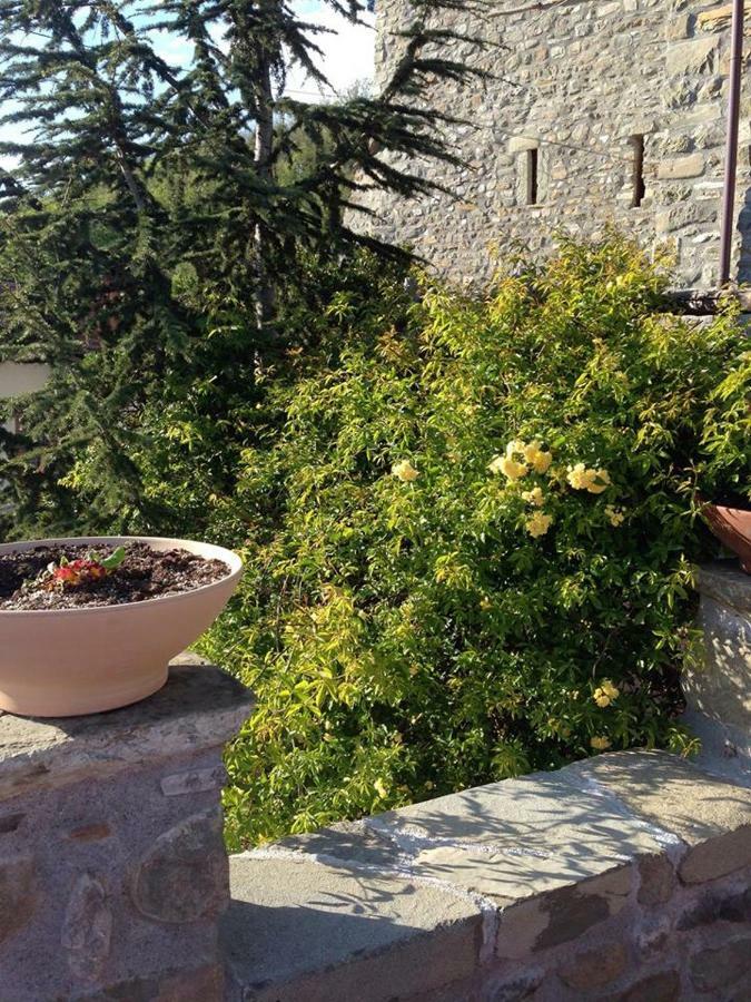 Mini Appartamenti Nonna Nella Barbarasco Exterior foto